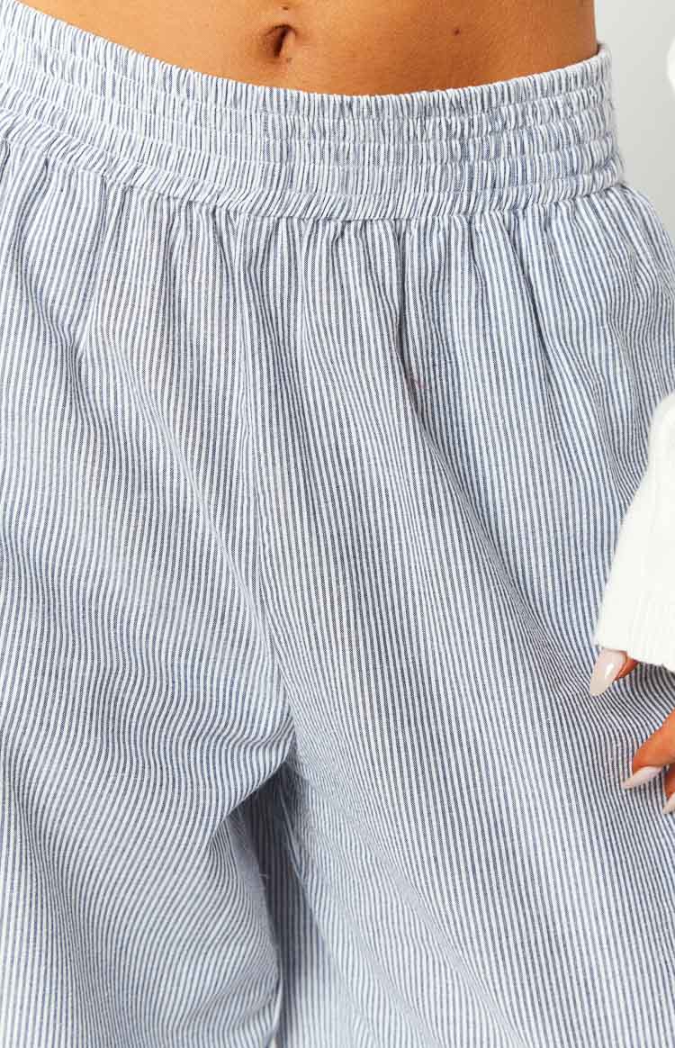 Mahalia Blue Stripe Pants — 8
