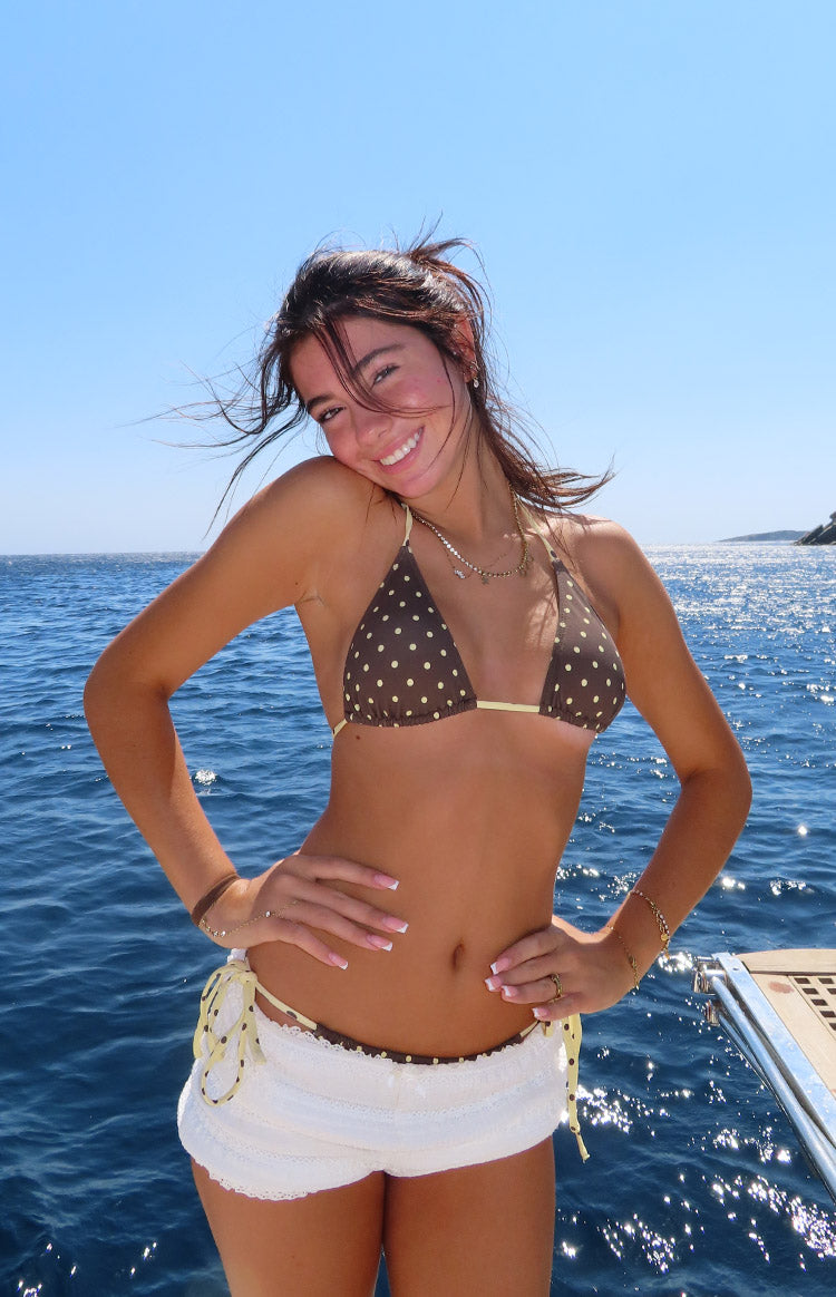 Florida Brown Polka Dot Triangle Bikini Top — 1