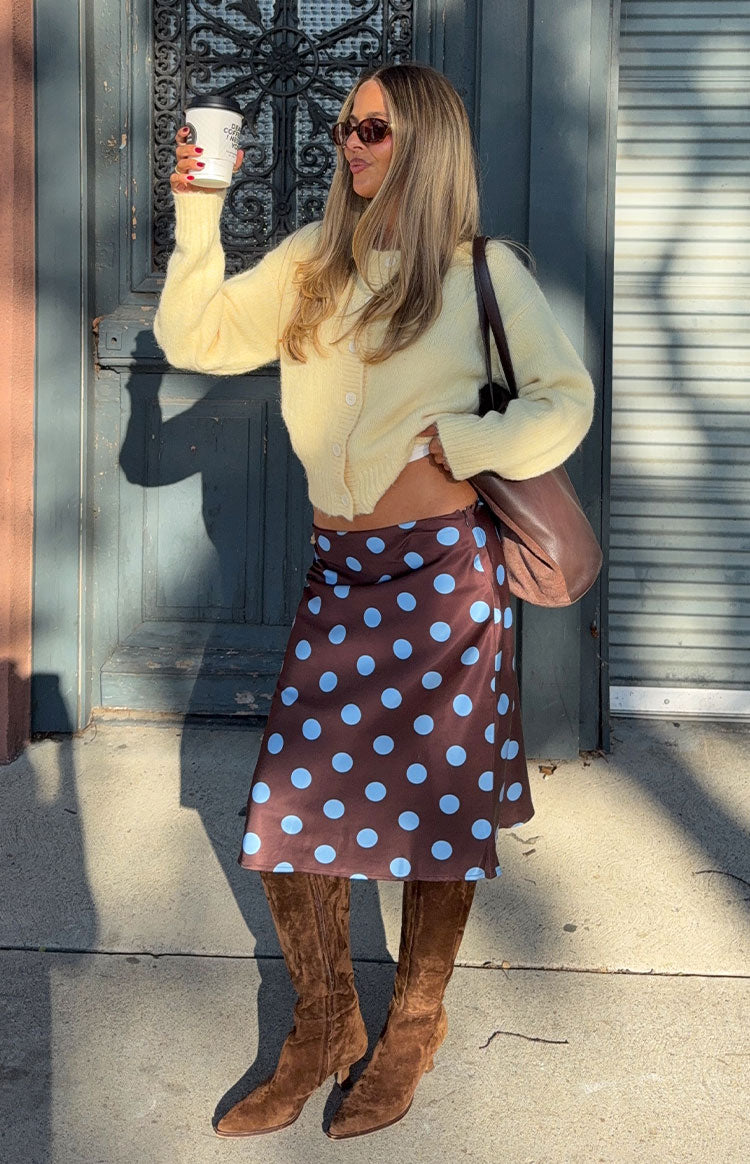 Charlize Brown and Blue Polka Dot Midi Skirt — 3