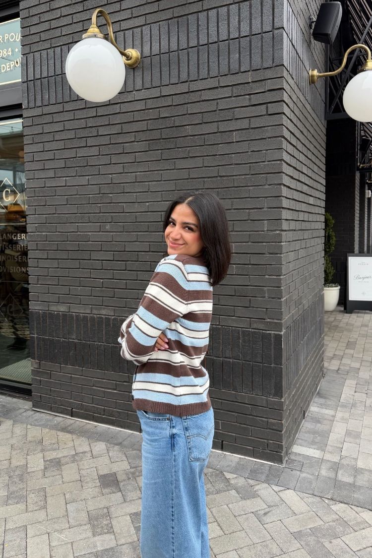 Misha Brown and Blue Stripe Button Down Cardigan — 20
