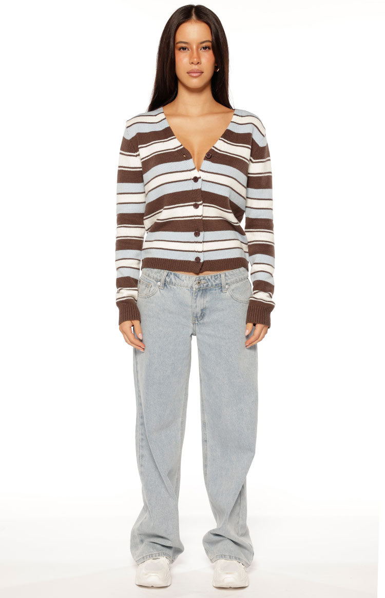 Misha Brown and Blue Stripe Button Down Cardigan — 8