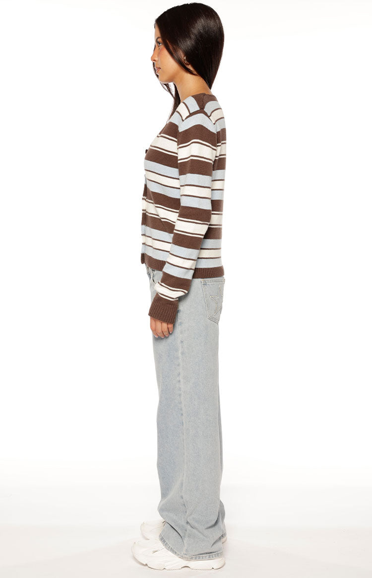 Misha Brown and Blue Stripe Button Down Cardigan — 9