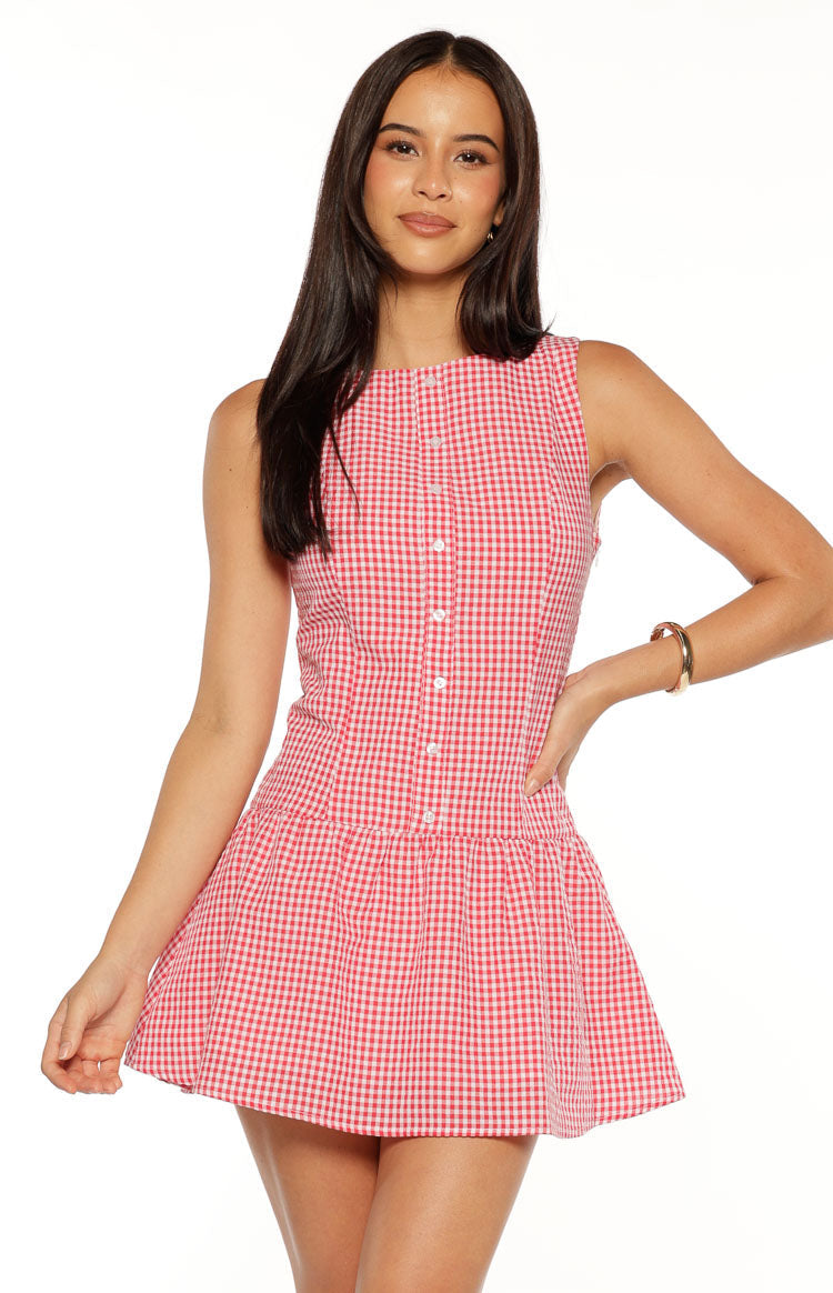 Jordyn Red Gingham Mini dress — 1