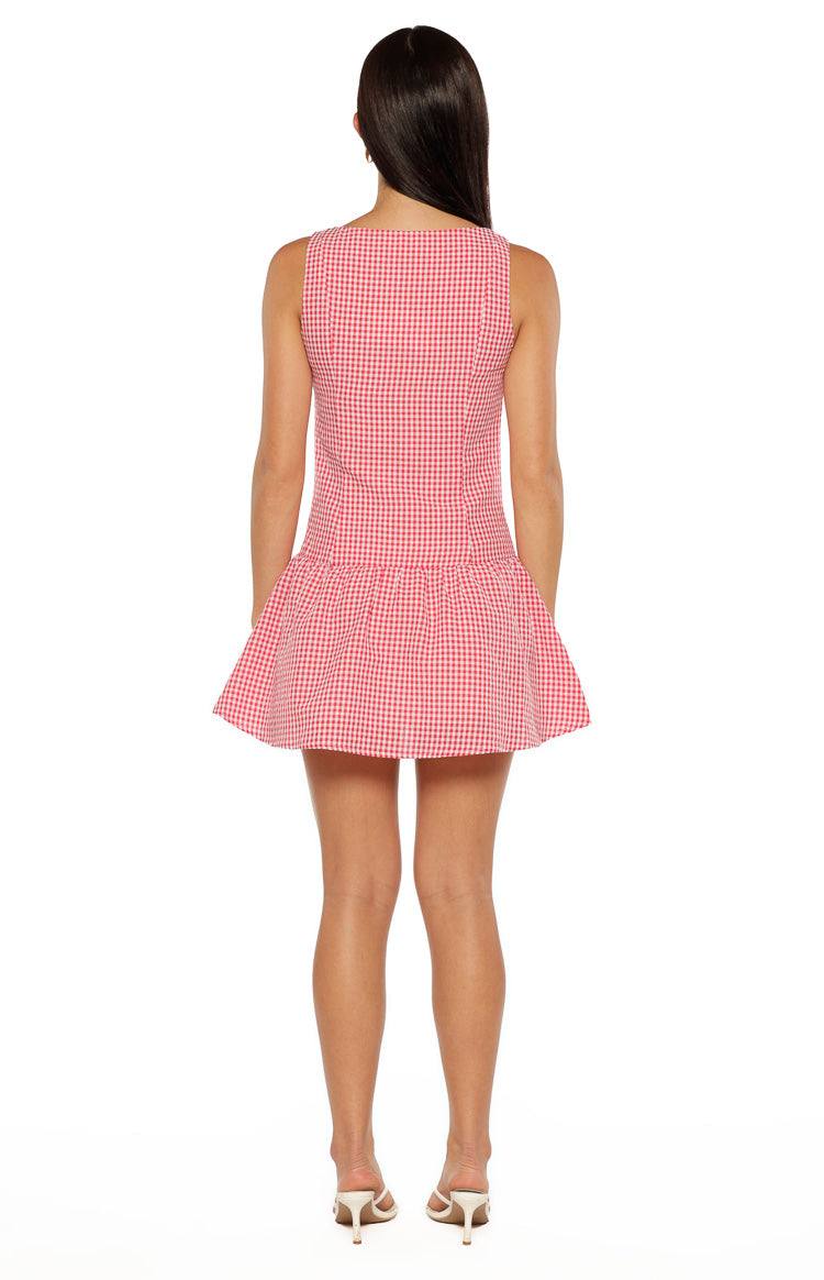 Jordyn Red Gingham Mini dress — 7