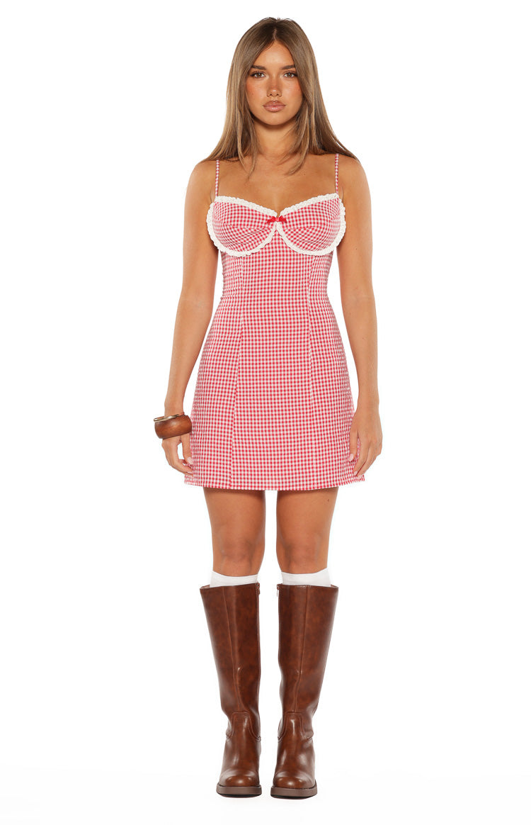 Please Red Gingham Mini Dress — 5