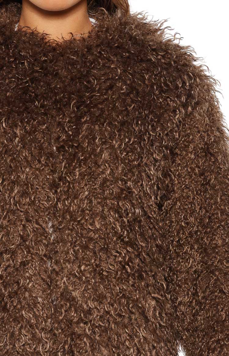 Margot Brown Shaggy Fur Jacket — 9